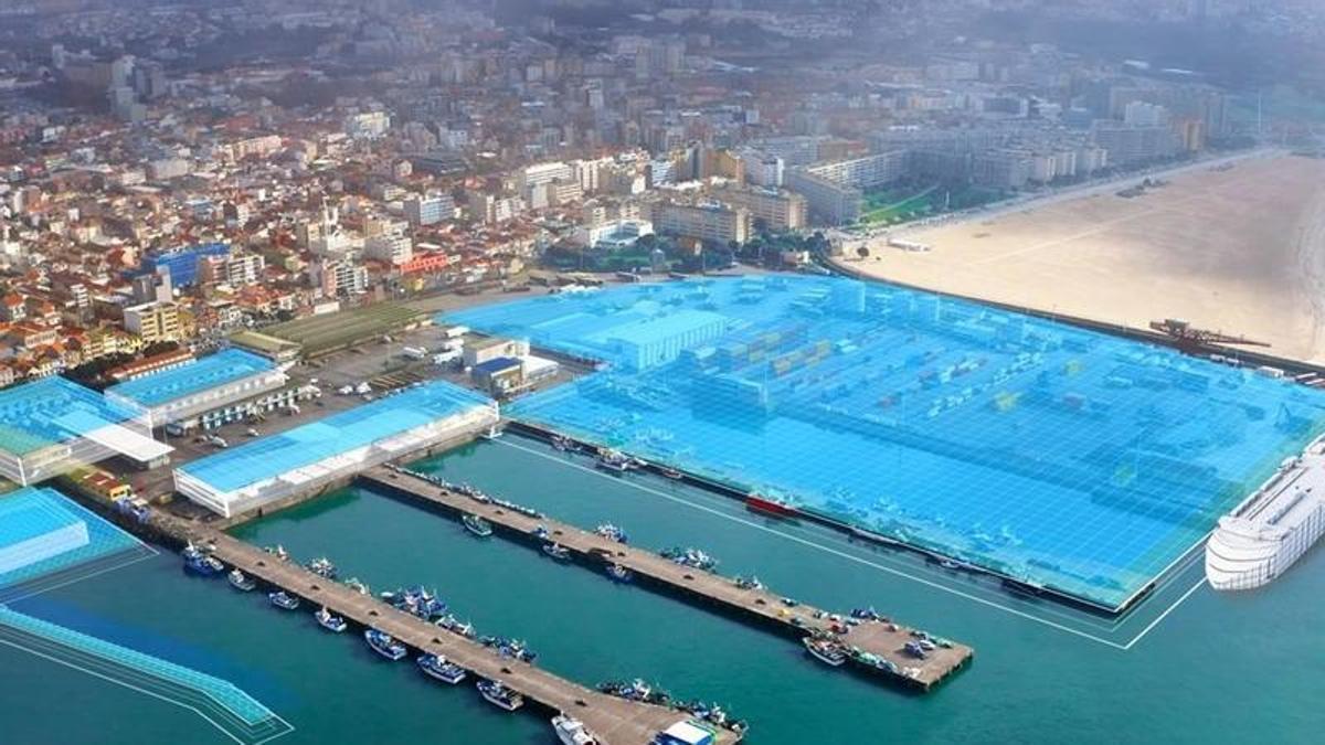 Ampliación proyectada de la terminal multiusos.