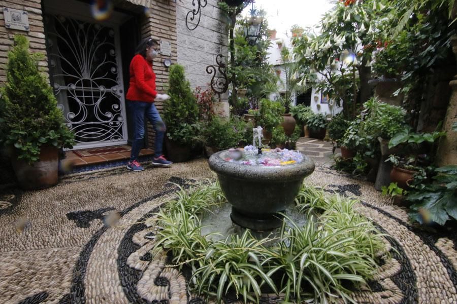 Los Patios de Córdoba: Santiago