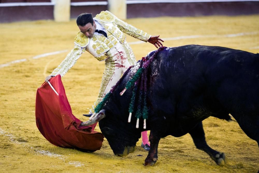 Toros en Málaga