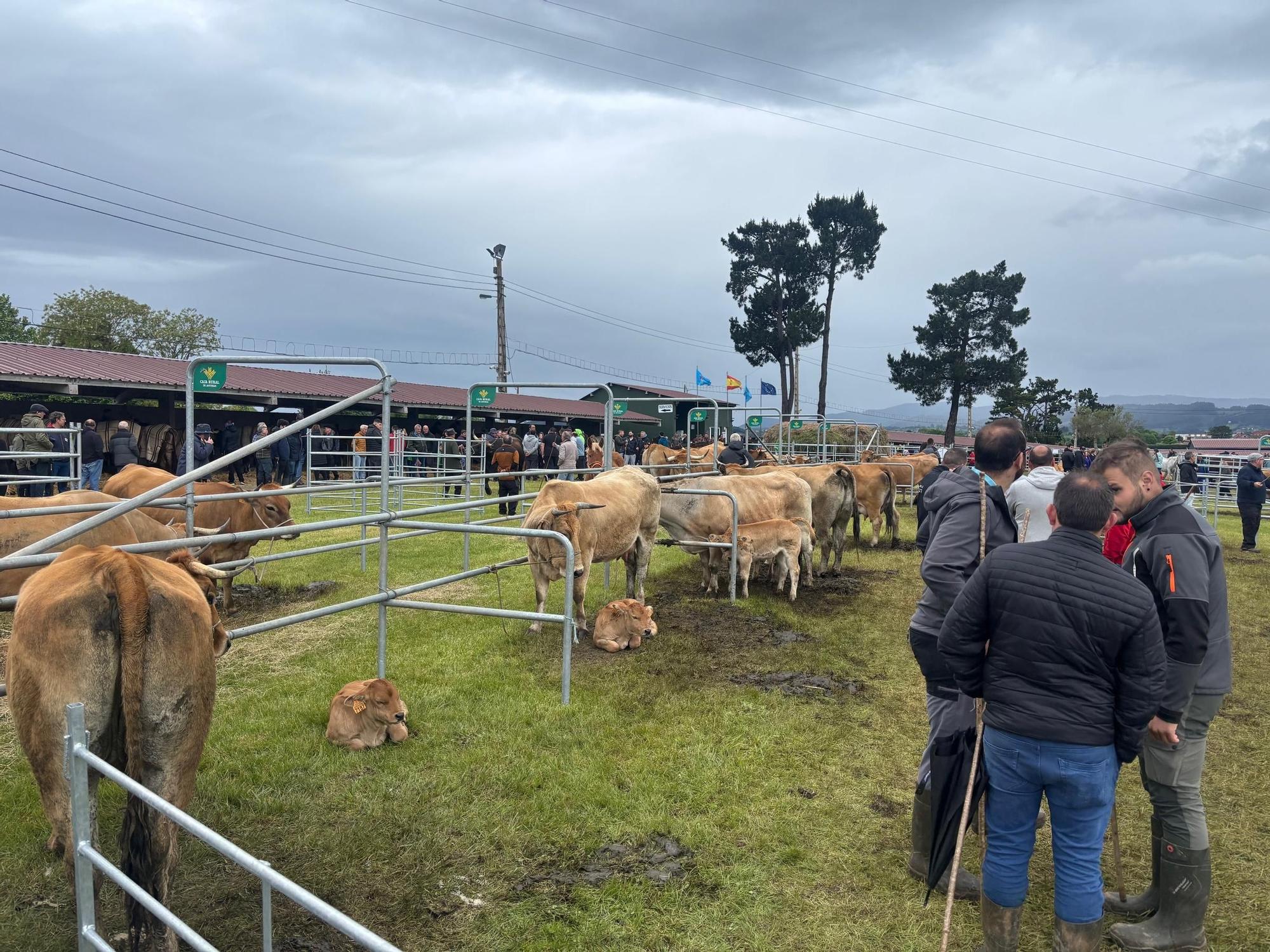 EN IMÁGENES: El domingo de San Isidro en Llanera
