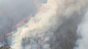 Incendio forestal en Cantabria