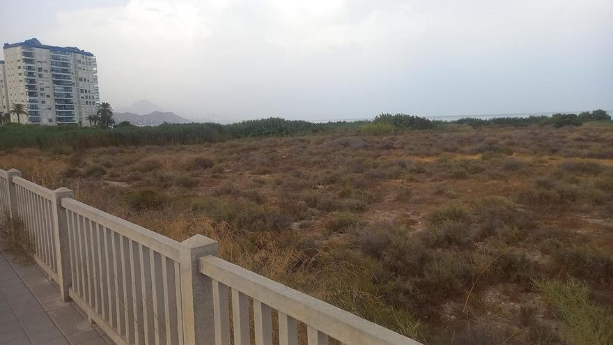 ¿Dónde va a ir la pasarela peatonal de El Campello que unirá Carrer la Mar y Muchavista? Enigma resuelto