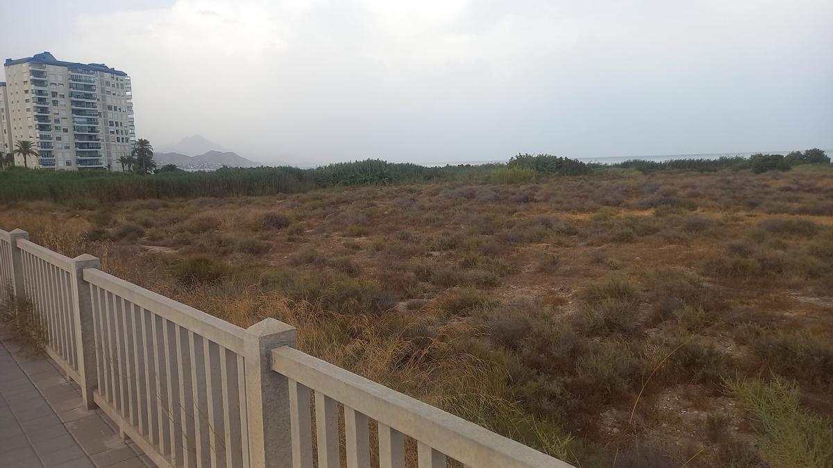 ¿Dónde va a ir la pasarela peatonal de El Campello que unirá Carrer la Mar y Muchavista? Enigma resuelto