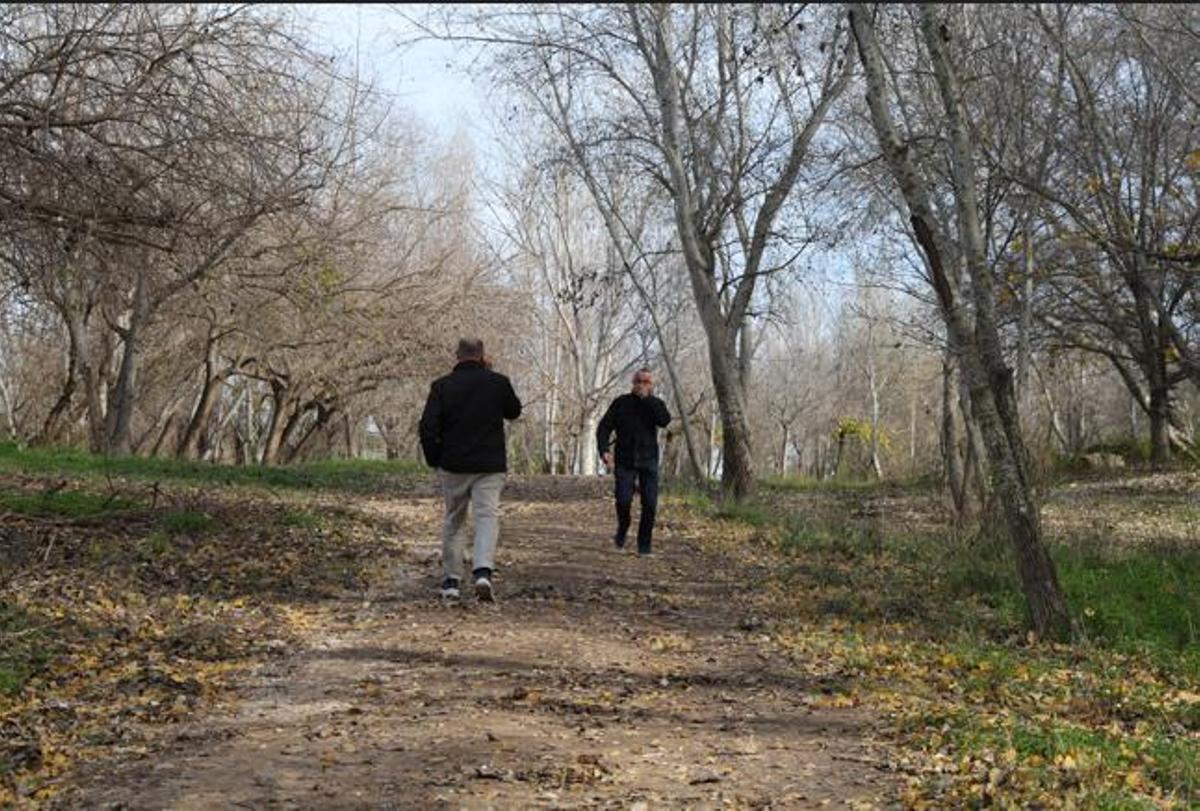 Dos vecinos pasean por el Bosc de Ribera, declarado paraje natural municipal.