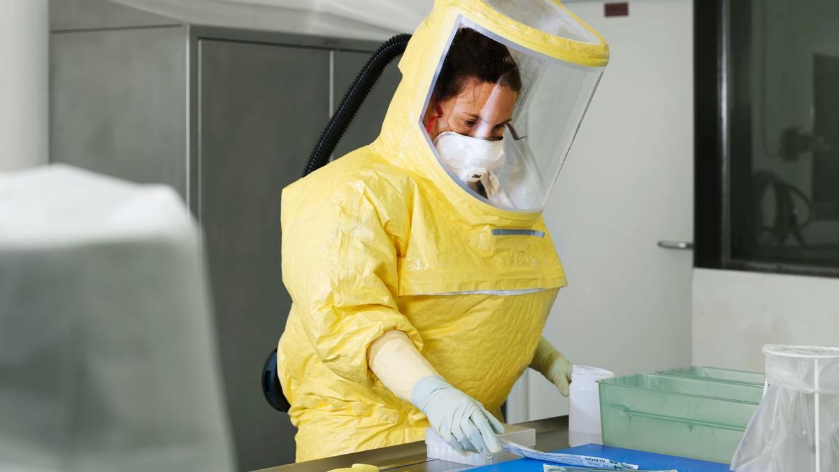 Una científica trabaja en los laboratorios del Institute of Agrifood Research and Technology (IRTA), uno de los centros en busca de una vacuna contra el covid-19.