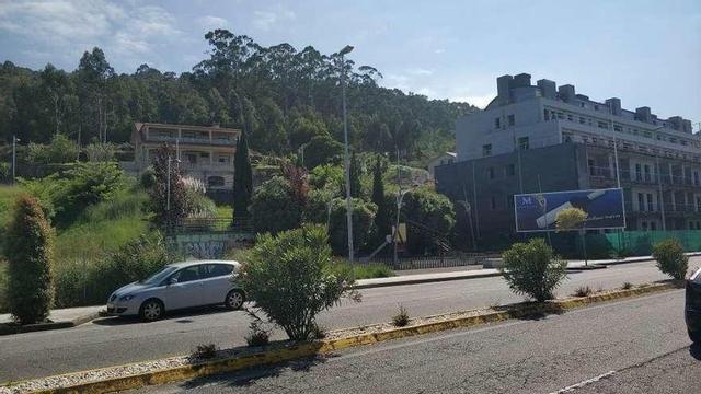 Árboles próximos a viviendas en la avenida de Sabarís, en Baiona. // FdV