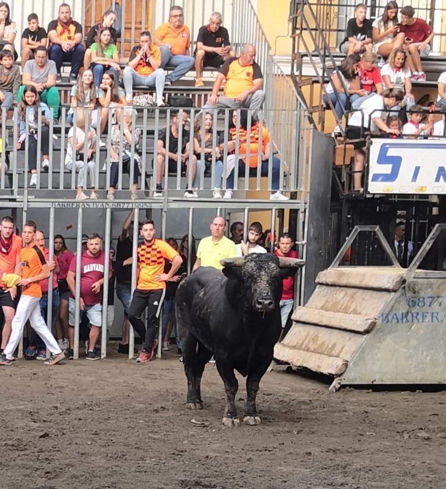 Navajas despide su semana taurina