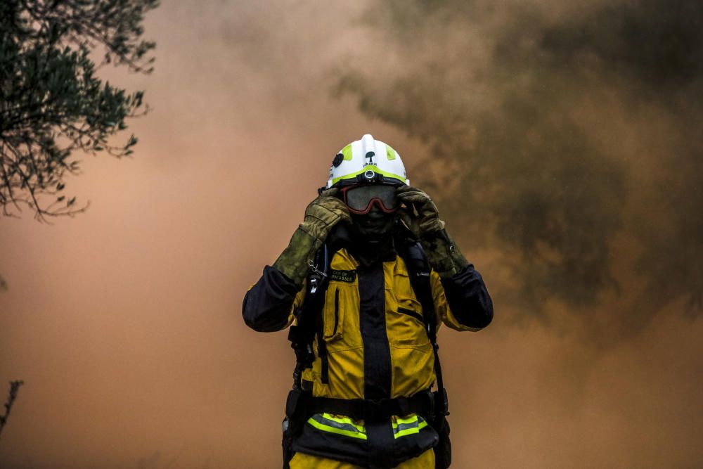 Knapp 500 Feuerwehrleute und Soldaten haben am Donnerstag (27.3.) im Waldgebiet bei Palma den Einsatz gegen einen Großbrand geübt.