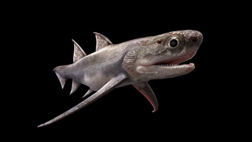 Así era en vida Qianodus duplicis, una antigua especie de pez que marcó los orígenes de nuestros propios dientes y mandíbulas.