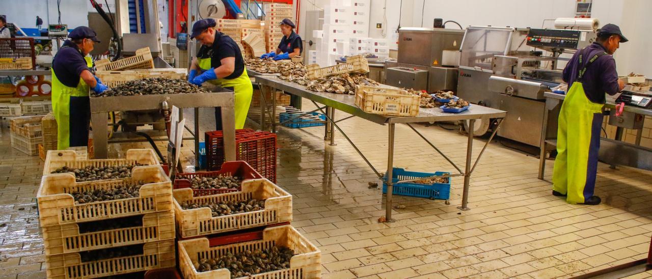 Una depuradora de moluscos asentada en el litoral de Cambados.