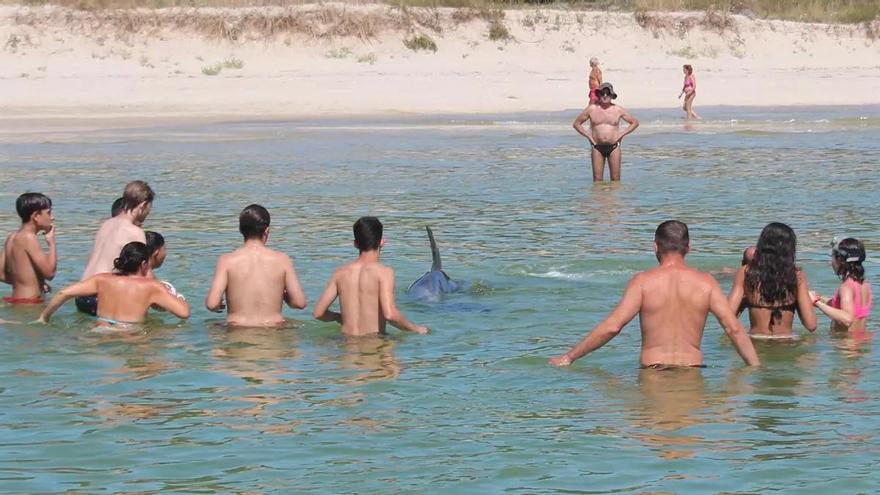 El delfín ‘Manoliño’ se codea con los bañistas en playas de Fisterra