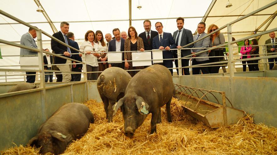 Inaugurada la Feria Agroganadera y Agroalimentaria de Los Pedroches