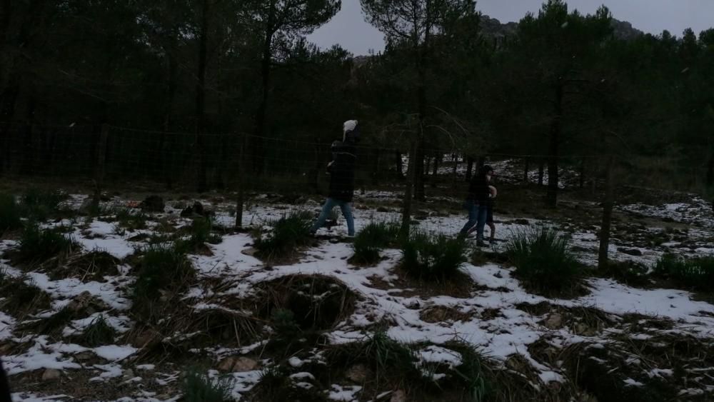 Schneefall auf Mallorca - Verkehrschaos in den Bergen