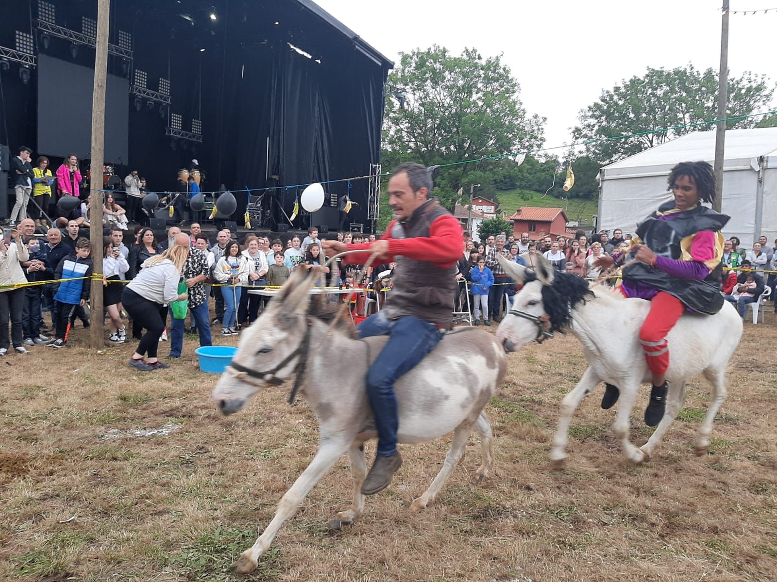 Collao, la competición más bestial: ocho burros disfrazados y a la carrera