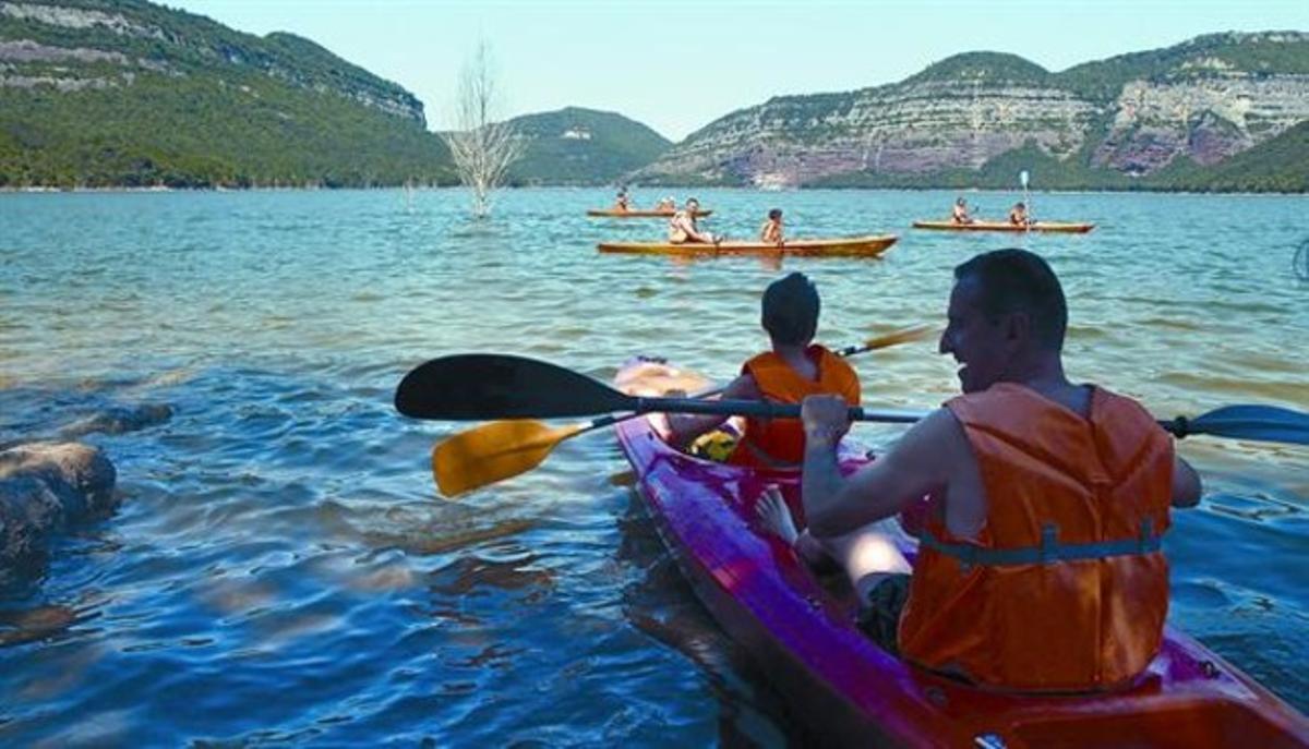 Colònies en família a Vilanova de Sau (Osona), a mitjans del mes de juny passat. Colònies en família a Vilanova de Sau (Osona), a mitjans del mes de juny passat.