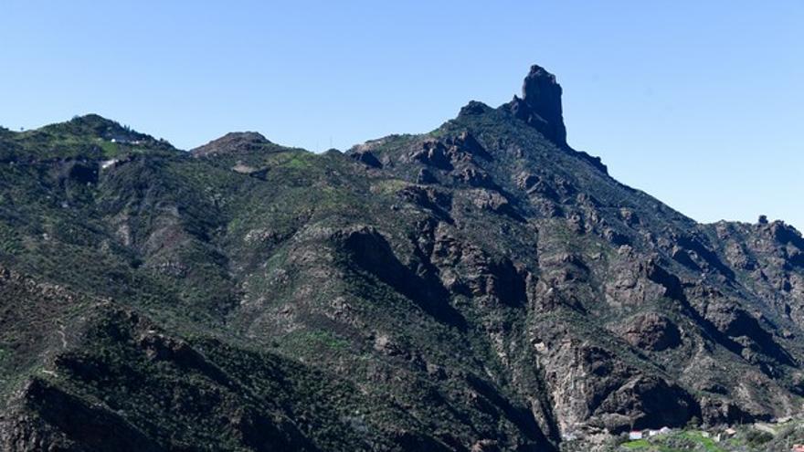 Almendros en flor en la Cumbre de Gran Canaria