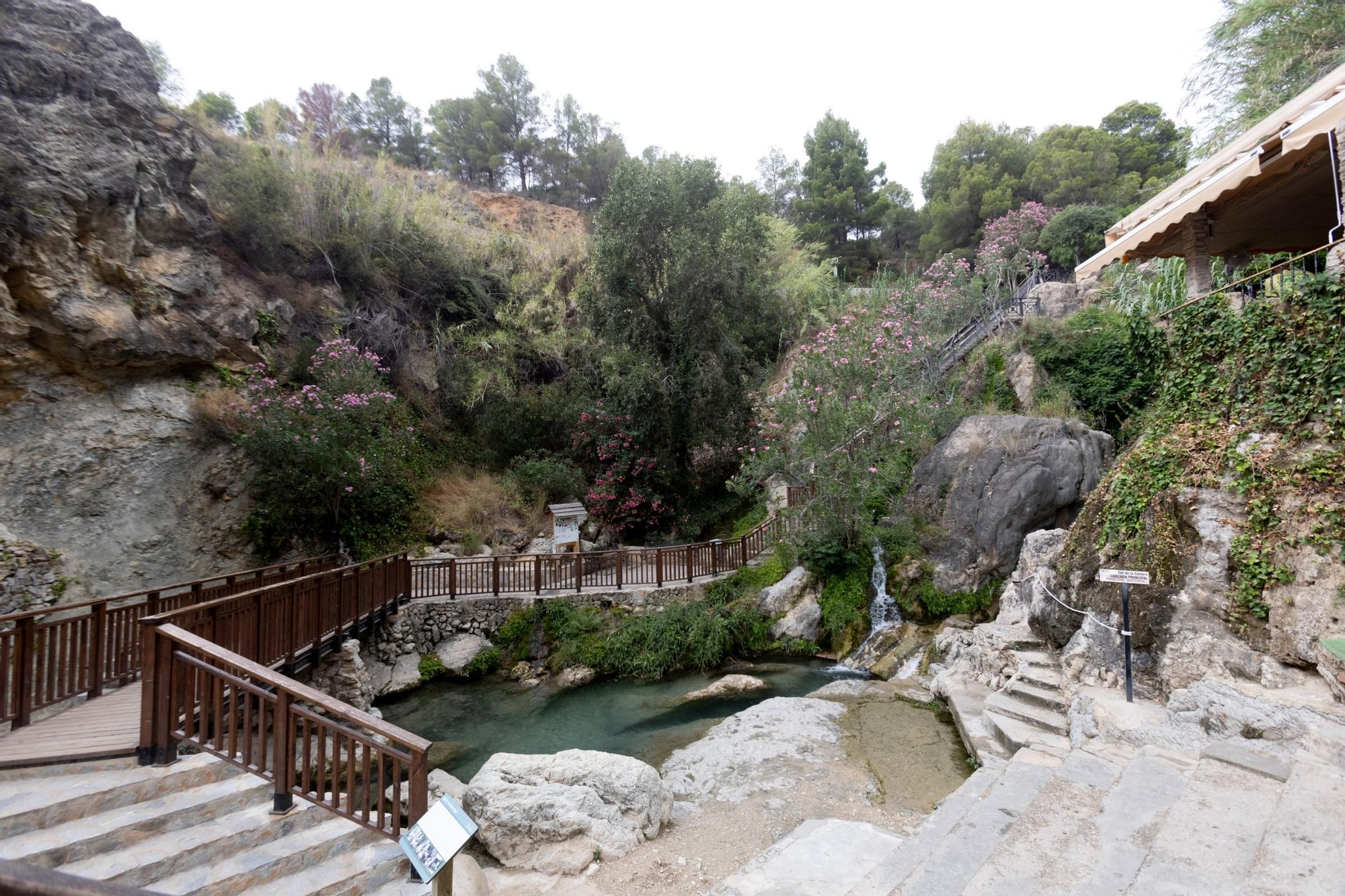 Las Fuentes del Algar, cerradas por contaminación biológica