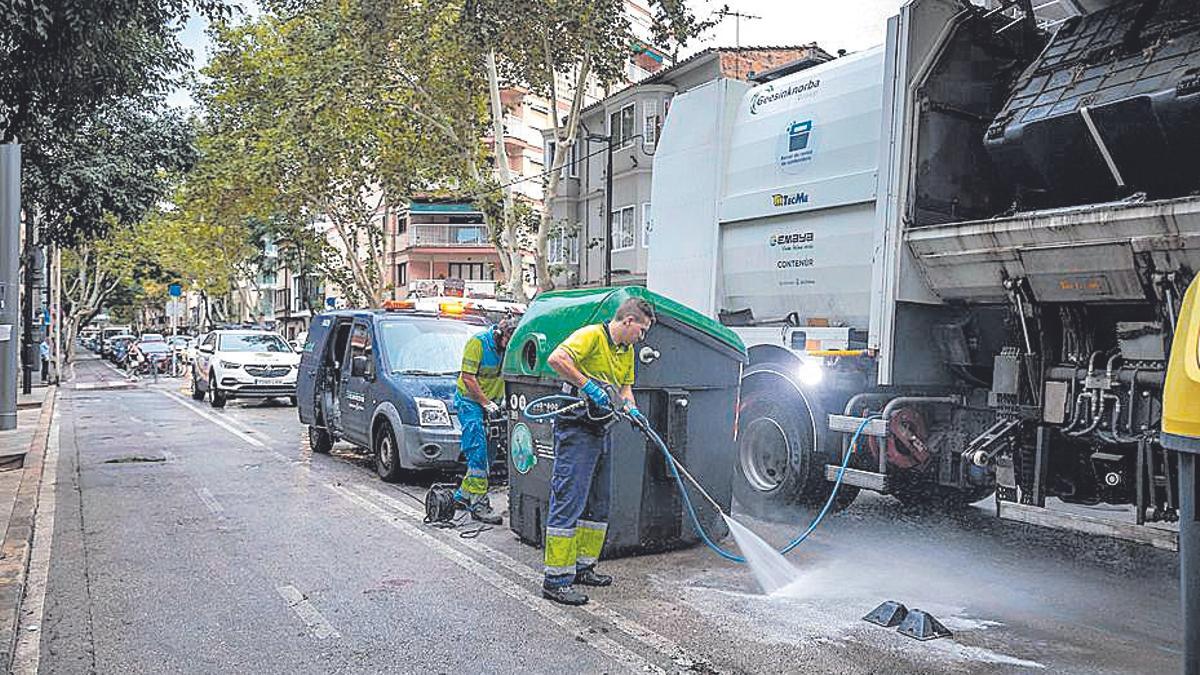 Los trabajadores de la primera fase del plan en Pere Garau