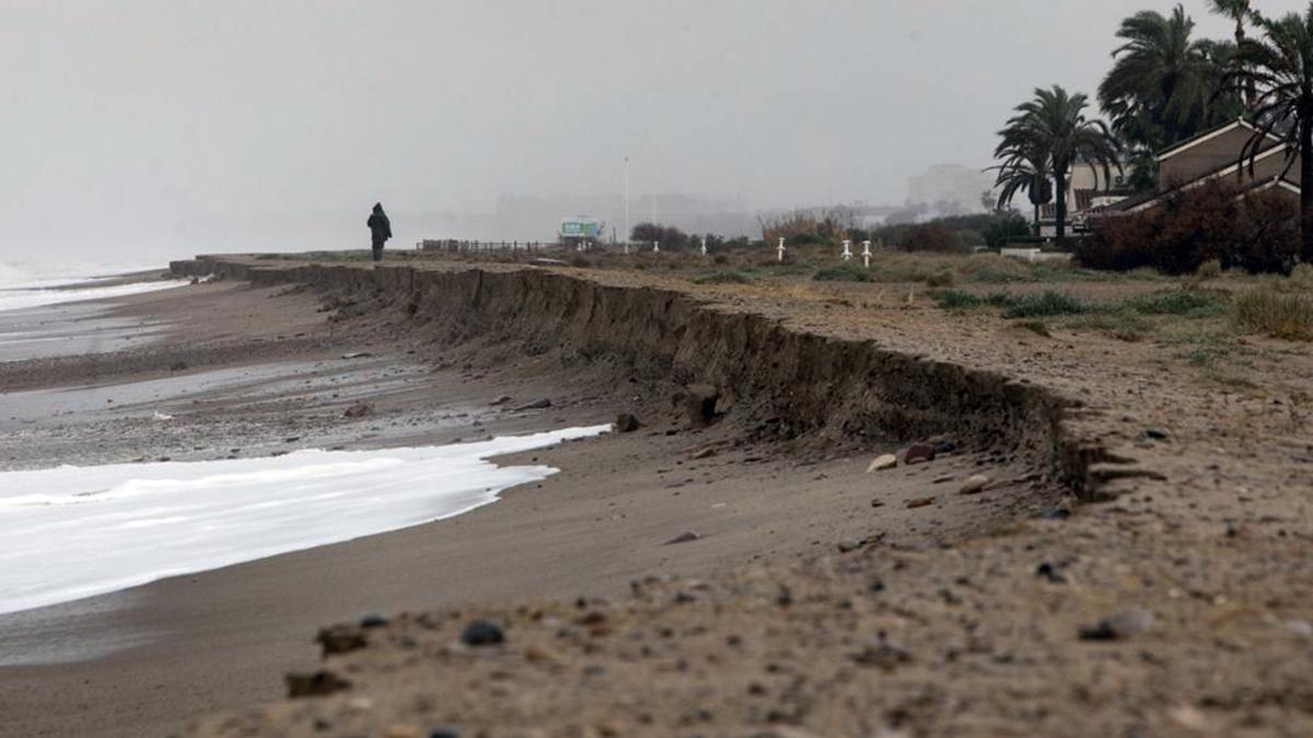 Mario Picazo advierte: la terrible consecuencia del calentamiento de los mares que puede llegar a España