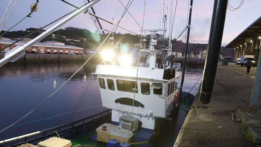 EN IMÁGENES: El primer bonito de la temporada ya está en Gijón: 2.217 kilos de "pescado del Cantábrico y de gran calidad"