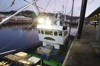EN IMÁGENES: El primer bonito de la temporada ya está en Gijón: 2.217 kilos de "pescado del Cantábrico y de gran calidad"