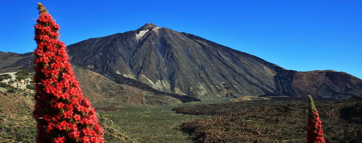 Vista parcial del Parque Nacional de las Cañadas del Teide, en Tenerife. ED