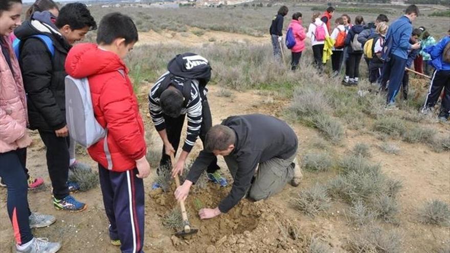 Unos 180 escolares participan en la celebración del Día del Árbol