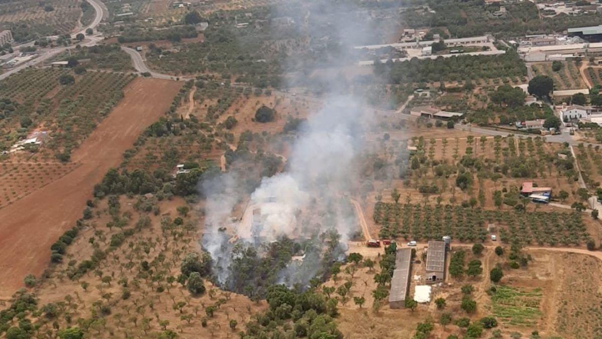 El fuego afecta a una zona de cultivo abandonado en el termino municipal de Vilafamés