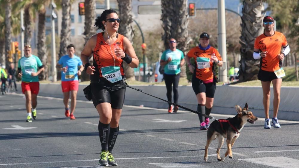 Más de 7.000 atletas tomaron la salida en una prueba que gozó de unas buenas condiciones para correr y que acabó encumbrando, de nuevo, al corredor del club Cueva de Nerja Abdelhadi El Mouaziz