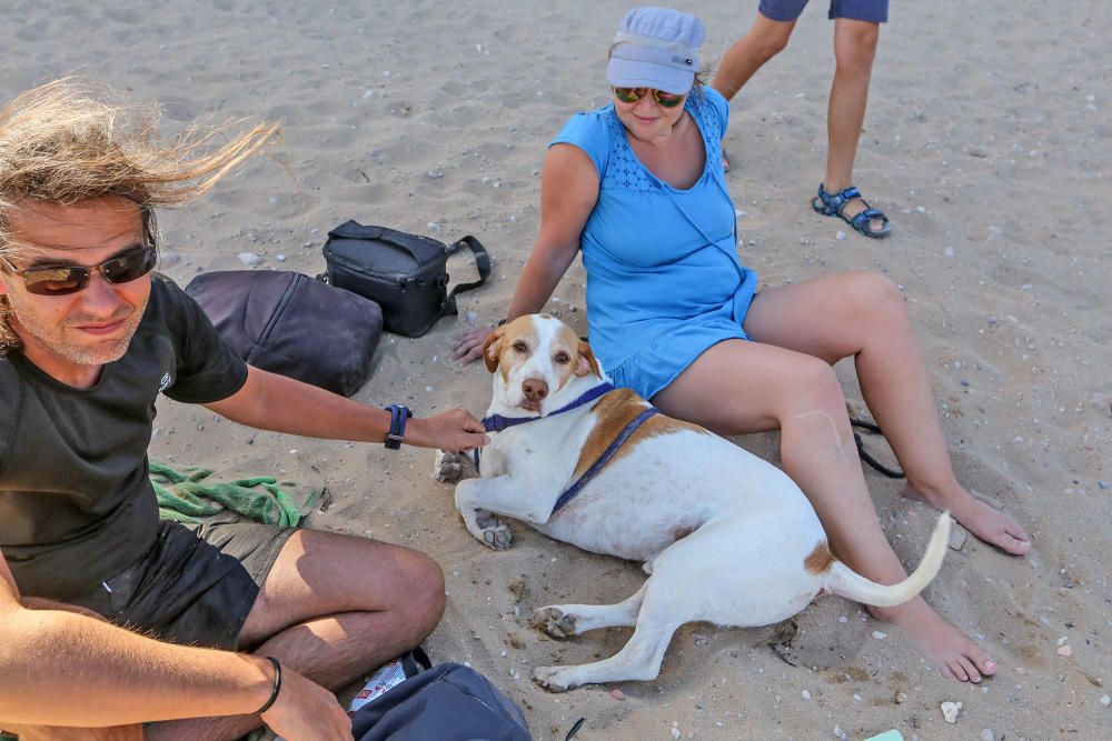 Docenas de usuarios de las playas acompañados de sus perros acudieron a Punta Margallo a pedir respeto y civismo en estos tramos litorales tras los "actos de sabotaje" de las señalizaciones