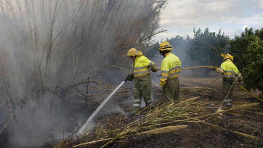 Bomberos sofocando un incendio de cañar.