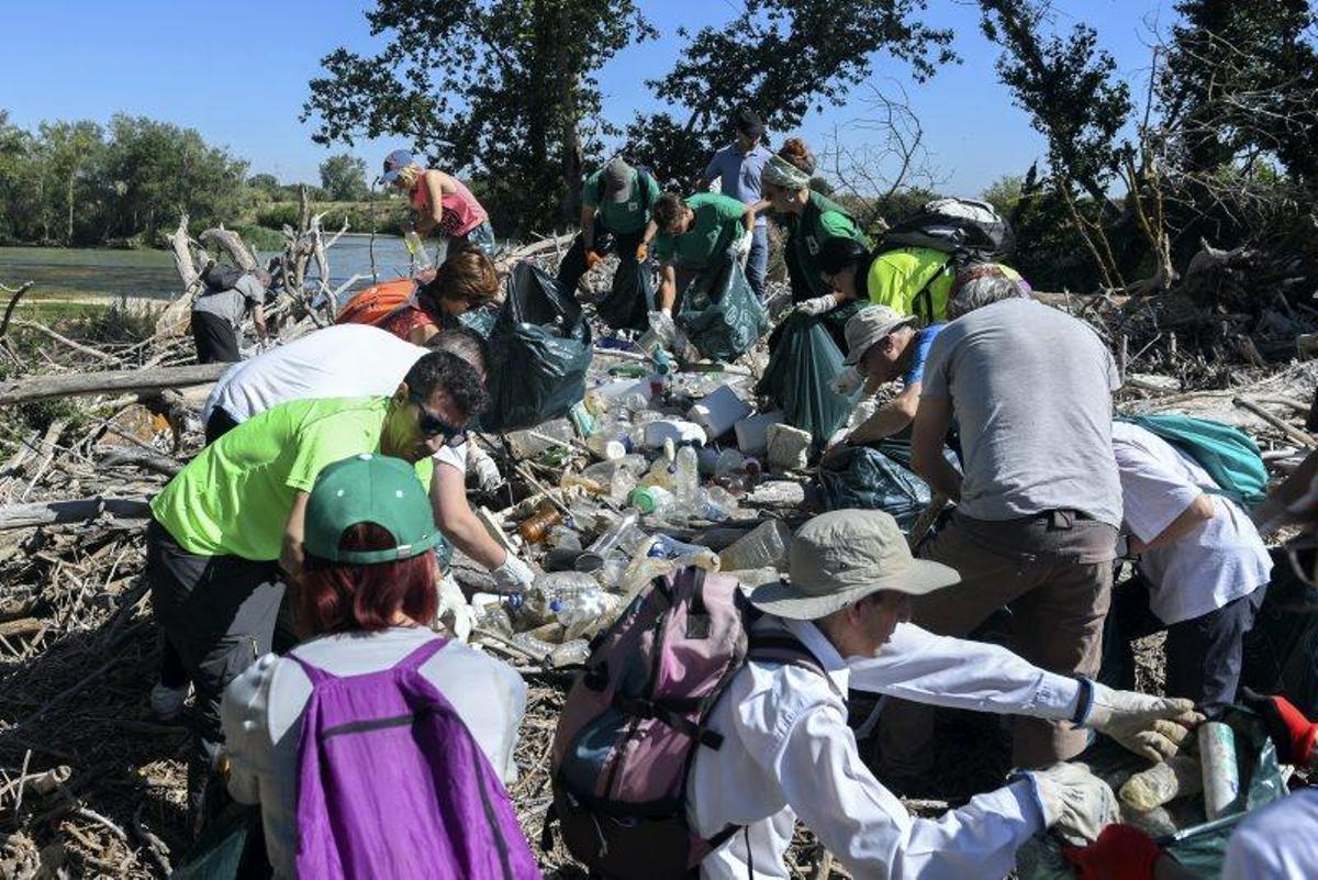 Recogida de plásticos en la ribera del Ebro