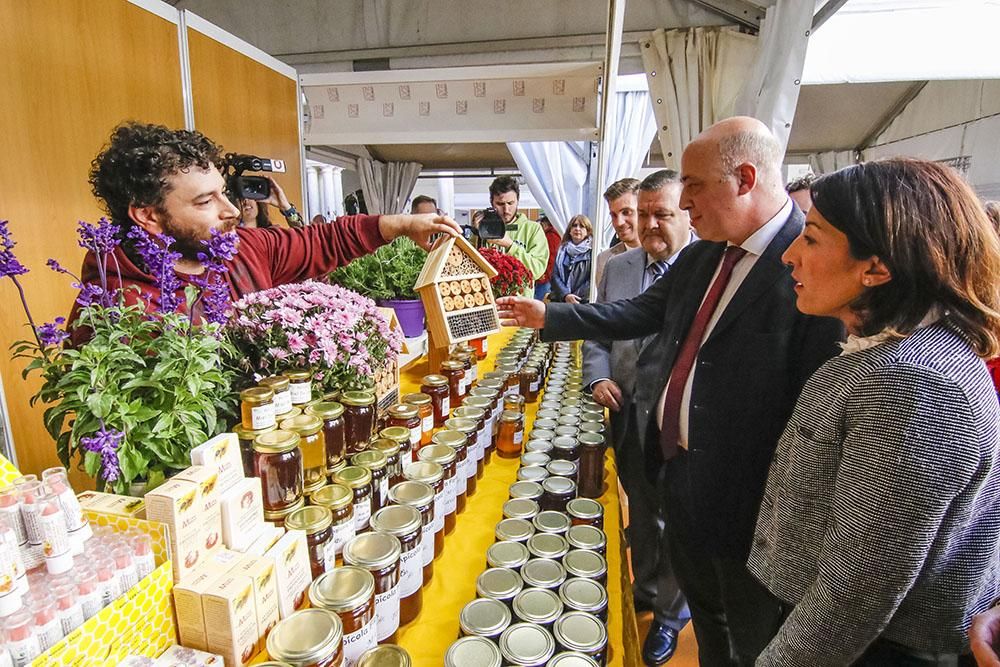 Abejas, cera y mucha miel en Expomiel 2018