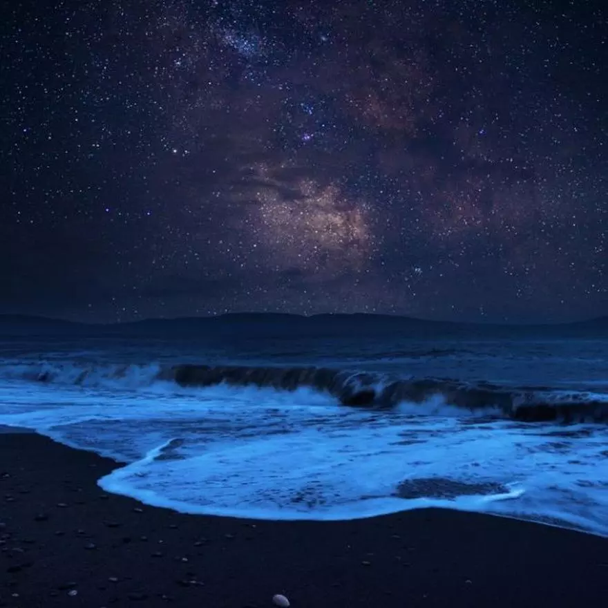 Las 3 playas de España donde buscar bioluminiscencia este fin de semana
