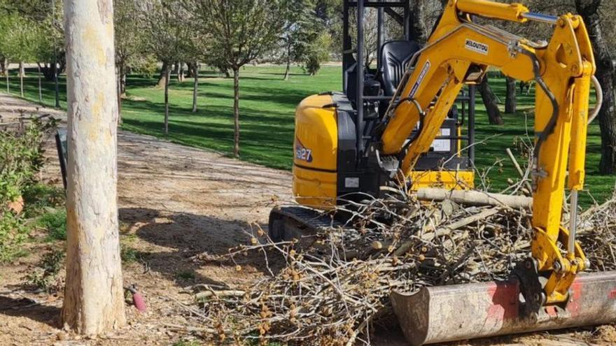 Una máquina retira  unos restos de ramas en una de las zonas verdes ejeanas. | SERVICIO ESPECIAL