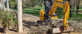 El cuidado de los parques se refuerza con la limpieza y poda de árboles