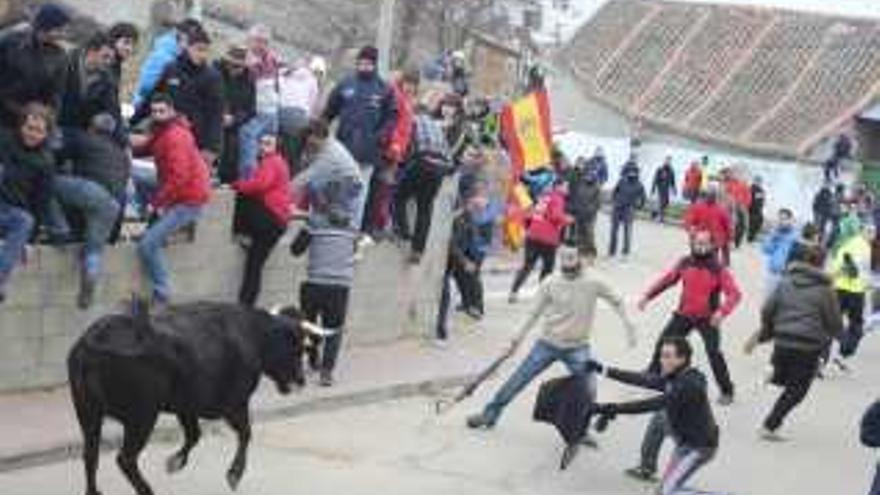 Un festejo taurino popular celebrado en una localidad de la provincia.