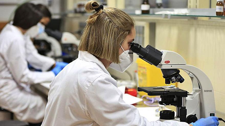 Estudiante de Biotecnología en un laboratorio del Campus de Murcia.