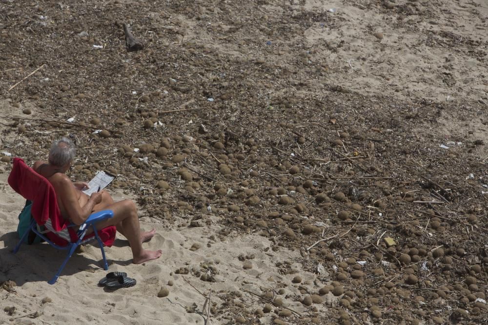 Suciedad en la playa de la Albufereta tras la riada