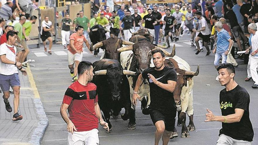 Les Penyes de la Vall d&#039;Uixó recuperan el encierro de astados cerriles