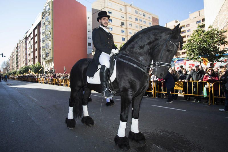 Bendición de animales por Sant Antoni del Porquet