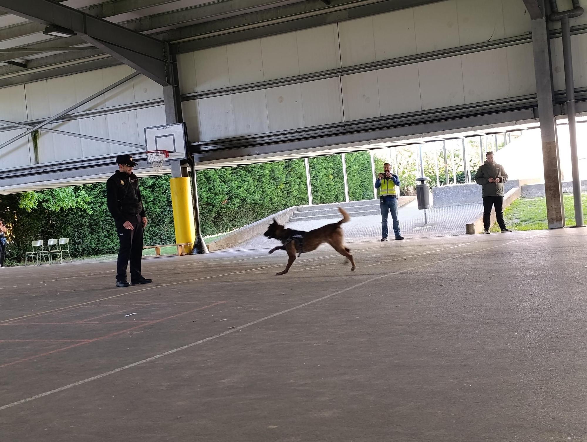 Así fue la exhibición de la Policía Nacional en el colegio La Fresneda, en Siero