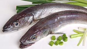 Els metges alerten de l’avanç de l’anisakis en el peix comú.