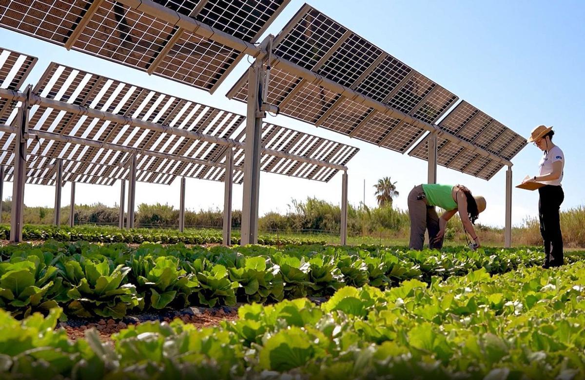 Catalunya provarà solucions climàtiques pioneres i després les exportarà a Europa