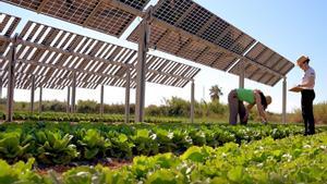 Catalunya provarà solucions climàtiques pioneres i després les exportarà a Europa