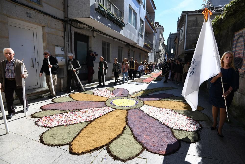 Un tapiz florar para engalanar el paso del "Viático" en Pontevedra