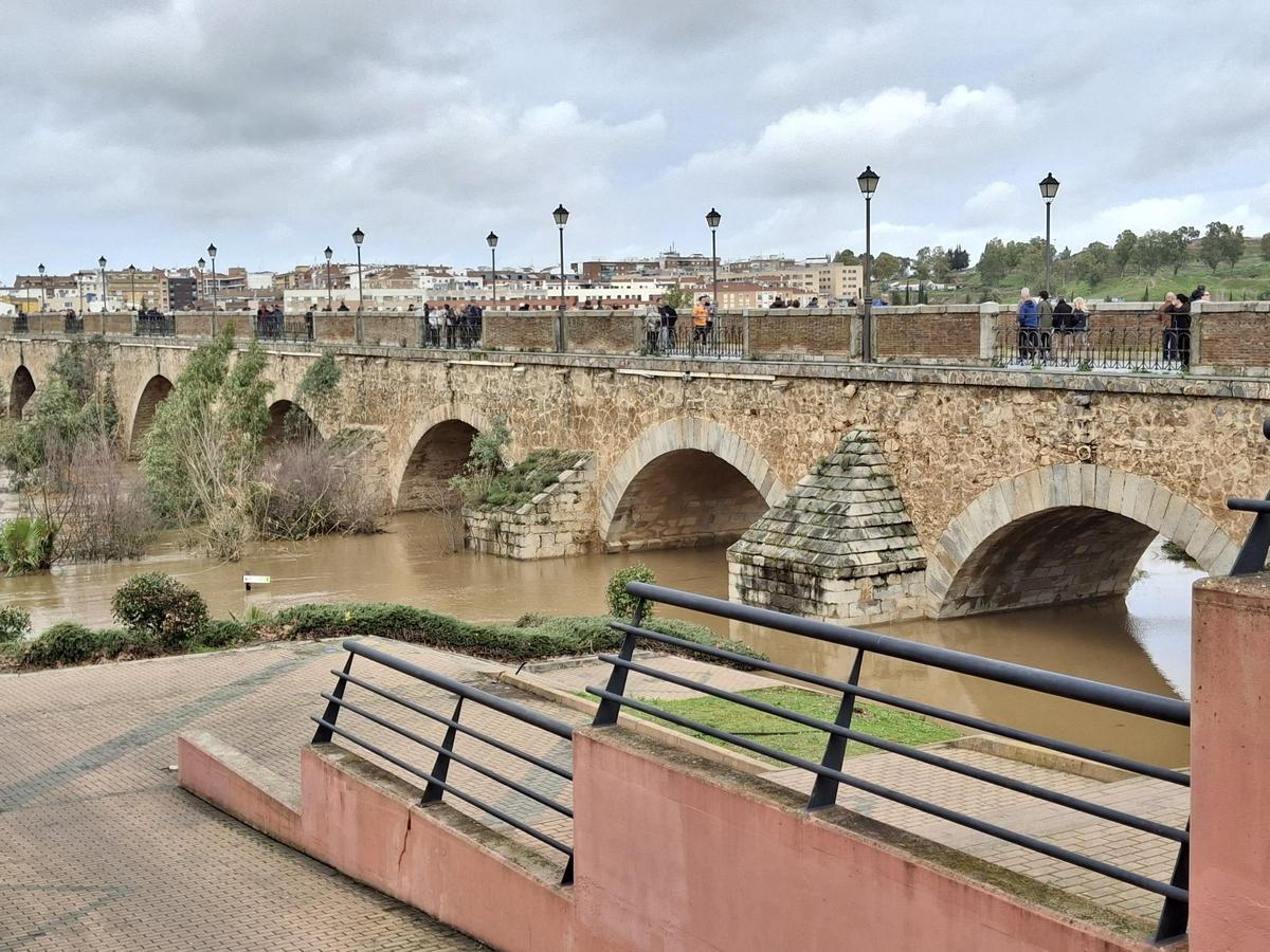 Fotogalería | El buen tiempo devuelve a los pacenses al río