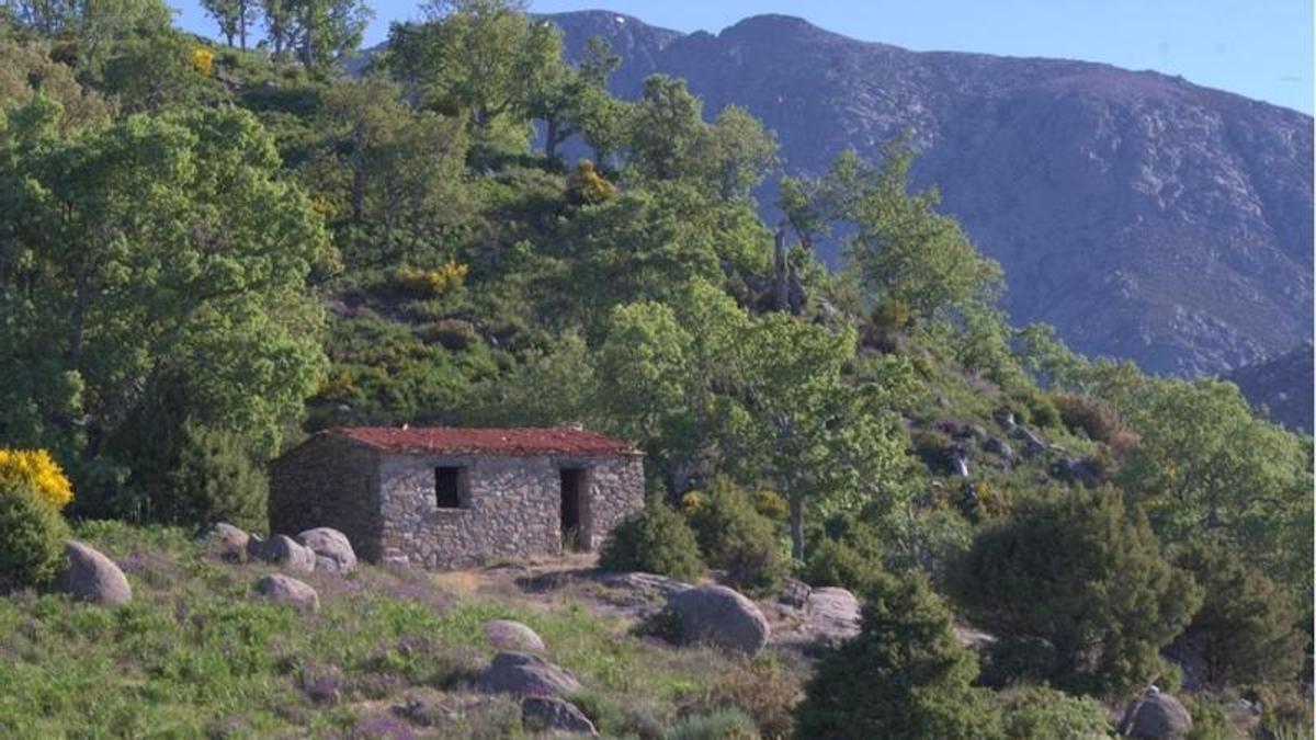 Coto Sierra, nuevo monte protector en Extremadura