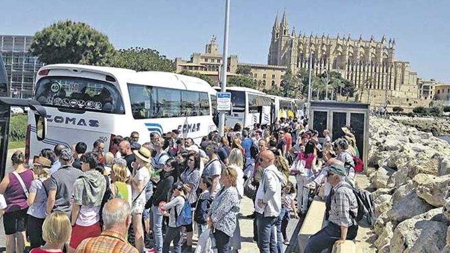 Un numeroso grupo de turistas este verano en Palma.