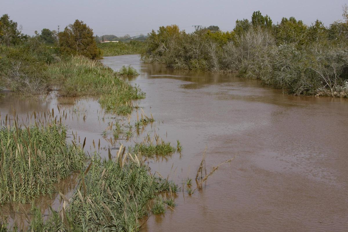 La Ribera del Xúquer, una de las zonas más afectadas